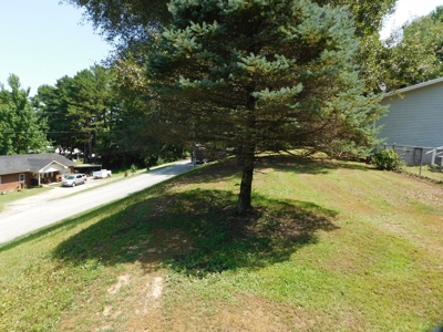 Home Jasper Buffalo River Region Newton County For Sale - image 26