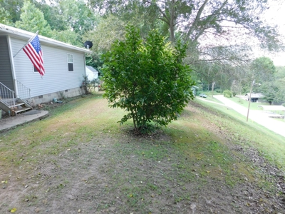 Home Jasper Buffalo River Region Newton County For Sale - image 18