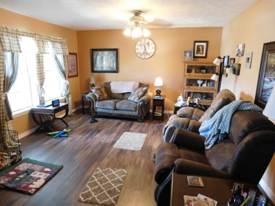 Home Jasper Buffalo River Region Newton County For Sale - image 15