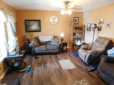 Home Jasper Buffalo River Region Newton County For Sale - image 16