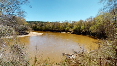 52 acre getaway on the Pea River. - image 30