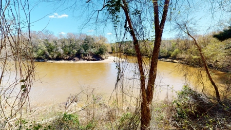 52 acre getaway on the Pea River. - image 26