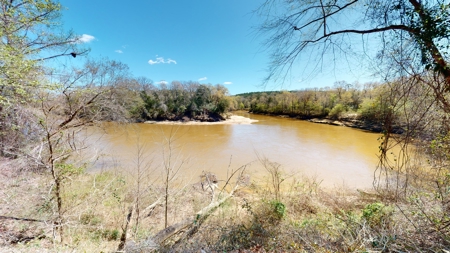 52 acre getaway on the Pea River. - image 27