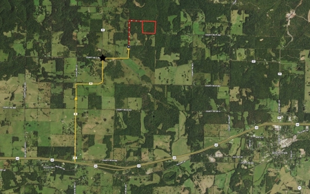 Surveyed Land for Sale in Southern Missouri - image 7