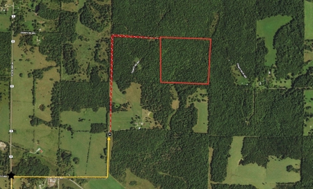Surveyed Land for Sale in Southern Missouri - image 9
