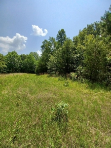Surveyed Land for Sale in Southern Missouri - image 1