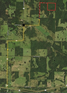 Surveyed Land for Sale in Southern Missouri - image 8