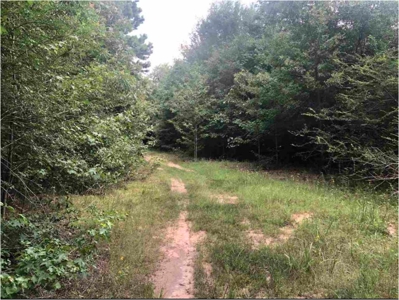 Land for sale - image 5
