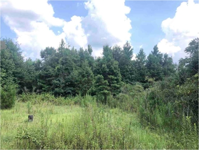 Land for sale - image 4