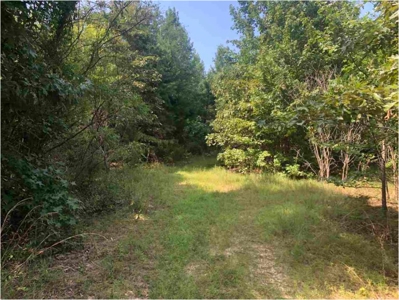 Land for sale - image 3