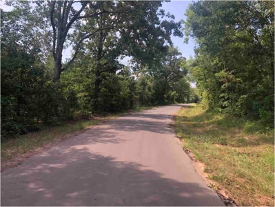 Land for sale - image 2