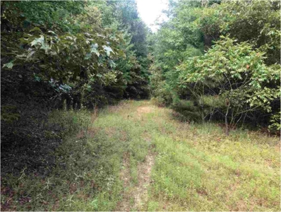 Land for sale - image 1
