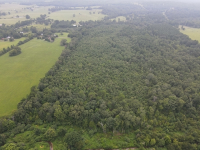 Land for sale - image 7