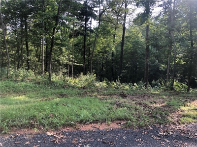 Gentle Laying Lot in North GA Mountains - image 1