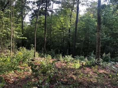 Gentle Laying Lot in North GA Mountains - image 3
