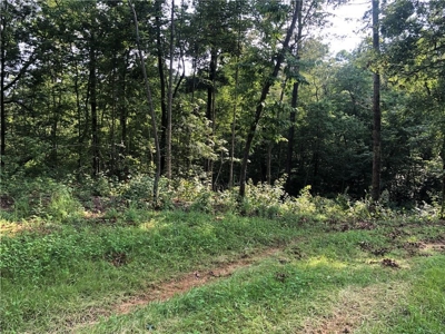 Gentle Laying Lot in North GA Mountains - image 2