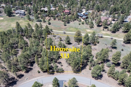 New Construction Modern Golf Course Home For Sale Ridgway Co - image 2