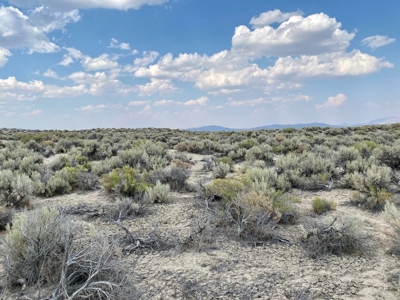 Land for Sale near Winnemucca, NV - image 1
