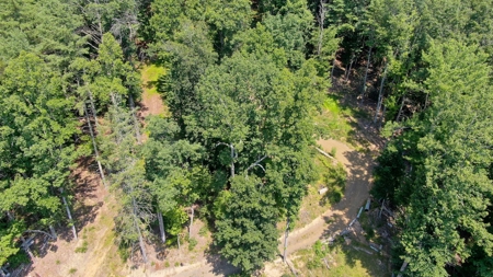 Mountain Home for Sale with Creek Frontage in Max Meadows VA - image 27