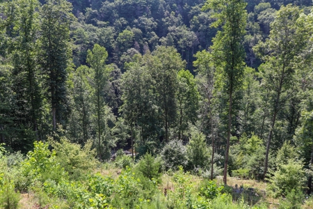 Mountain Home for Sale with Creek Frontage in Max Meadows VA - image 24