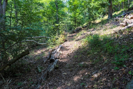 Mountain Home for Sale with Creek Frontage in Max Meadows VA - image 22