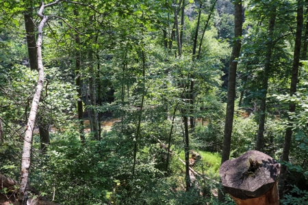 Mountain Home for Sale with Creek Frontage in Max Meadows VA - image 23