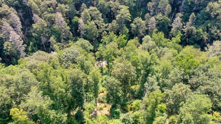 Mountain Home for Sale with Creek Frontage in Max Meadows VA - image 26