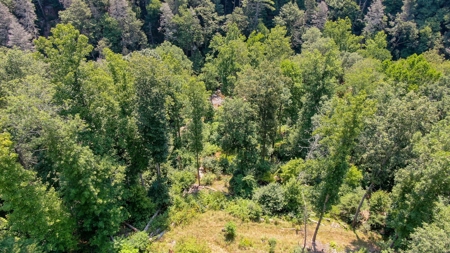 Mountain Home for Sale with Creek Frontage in Max Meadows VA - image 25