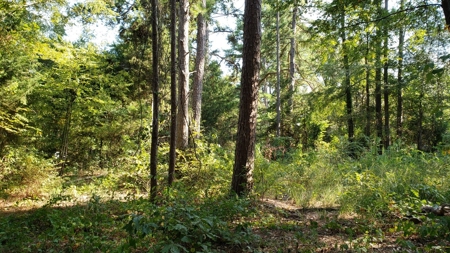 Double Lot For Sale In Established Lake Palestine Community - image 7