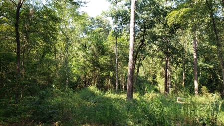 Double Lot For Sale In Established Lake Palestine Community - image 10