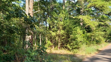 Double Lot For Sale In Established Lake Palestine Community - image 11