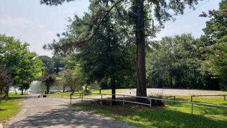 Double Lot For Sale In Established Lake Palestine Community - image 14