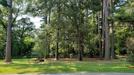 Double Lot For Sale In Established Lake Palestine Community - image 13