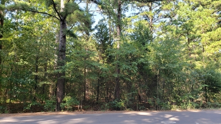 Double Lot For Sale In Established Lake Palestine Community - image 2