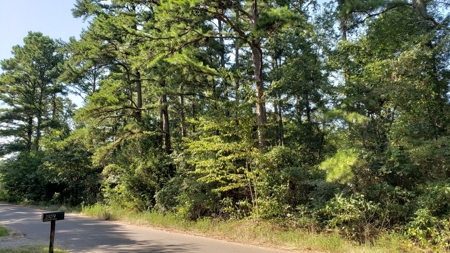 Double Lot For Sale In Established Lake Palestine Community - image 4