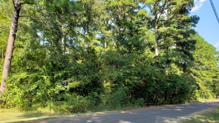 Double Lot For Sale In Established Lake Palestine Community - image 1