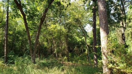 Double Lot For Sale In Established Lake Palestine Community - image 8