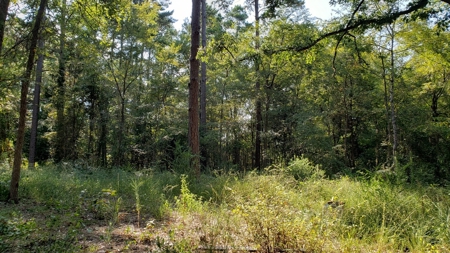 Double Lot For Sale In Established Lake Palestine Community - image 6