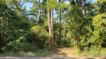 Double Lot For Sale In Established Lake Palestine Community - image 3