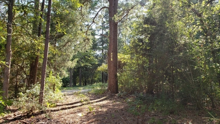 Double Lot For Sale In Established Lake Palestine Community - image 9