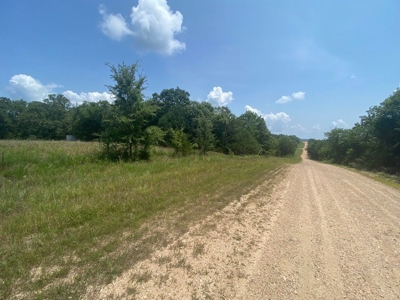 Hunting Land for Sale Near Bull Shoals Lake - image 5