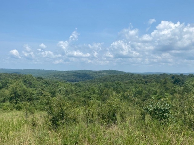 Hunting Land for Sale Near Bull Shoals Lake - image 2