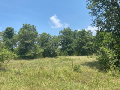 Hunting Land for Sale Near Bull Shoals Lake - image 1