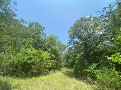 Hunting Land for Sale Near Bull Shoals Lake - image 3
