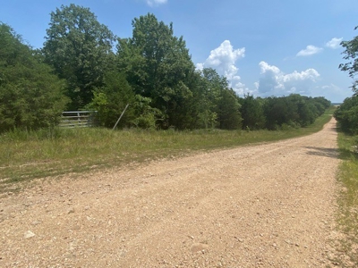 Hunting Land for Sale Near Bull Shoals Lake - image 4