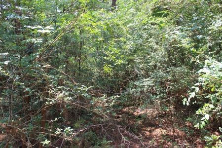 Residential and/or Commercial Lot For Sale in Gladewater, TX - image 8