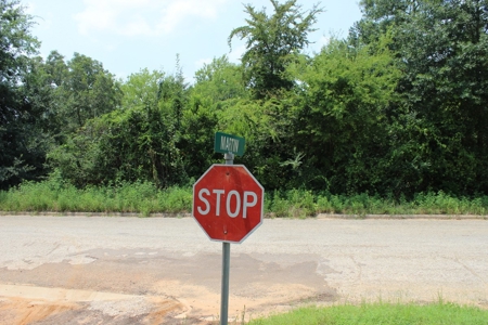 Residential and/or Commercial Lot For Sale in Gladewater, TX - image 1