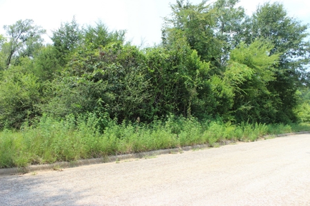Residential and/or Commercial Lot For Sale in Gladewater, TX - image 12