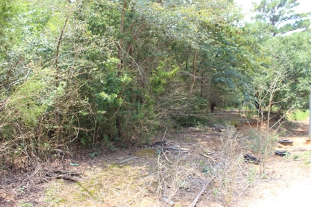 Residential and/or Commercial Lot For Sale in Gladewater, TX - image 5