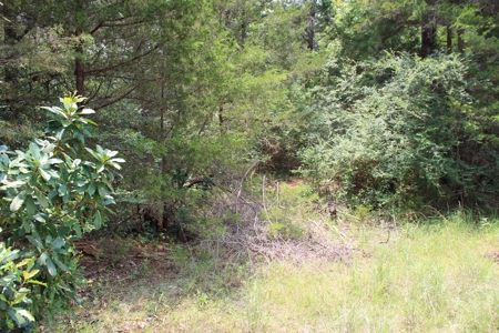Residential and/or Commercial Lot For Sale in Gladewater, TX - image 7